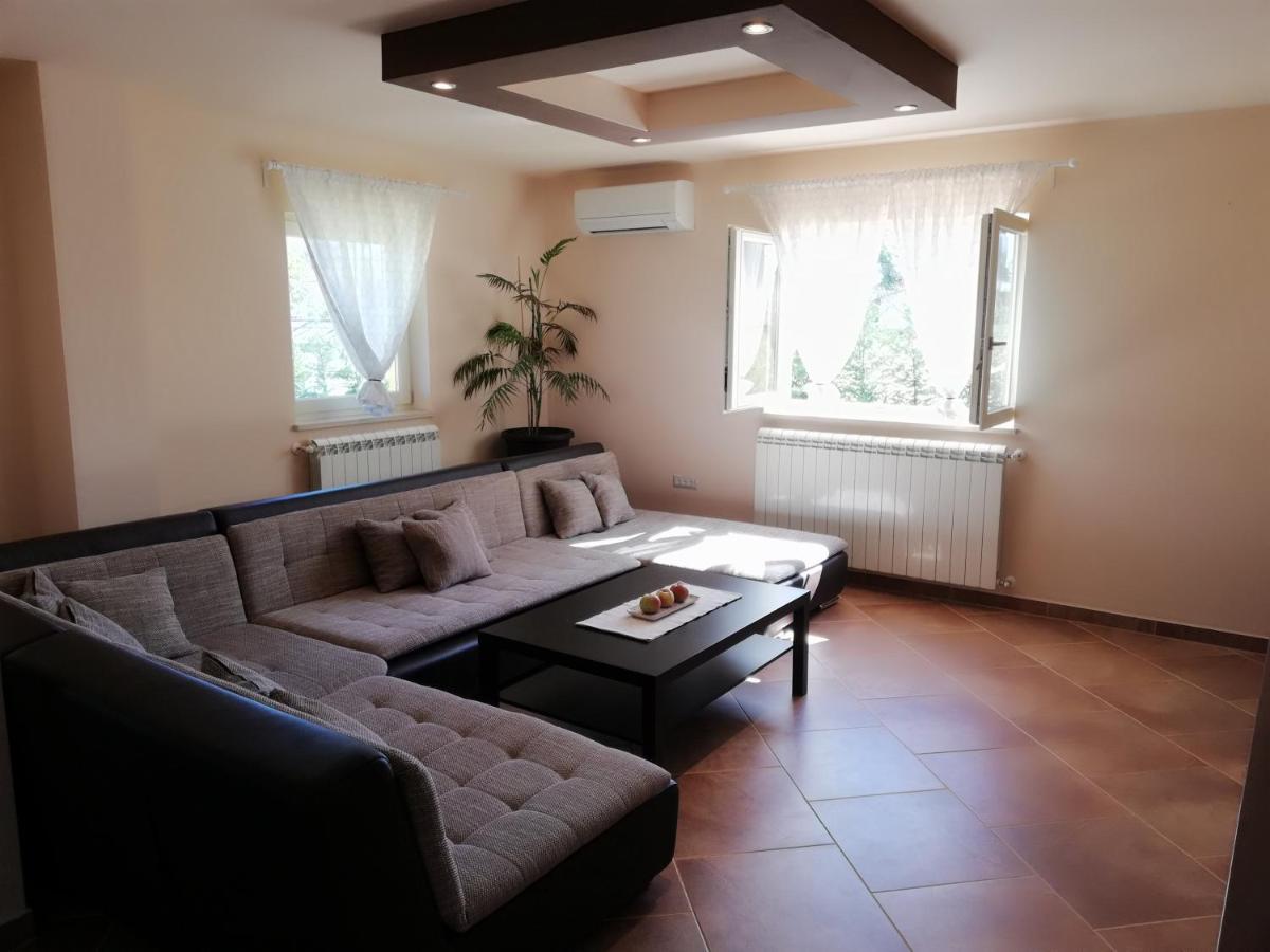 Apartman Nikola Ladrovici Экстерьер фото