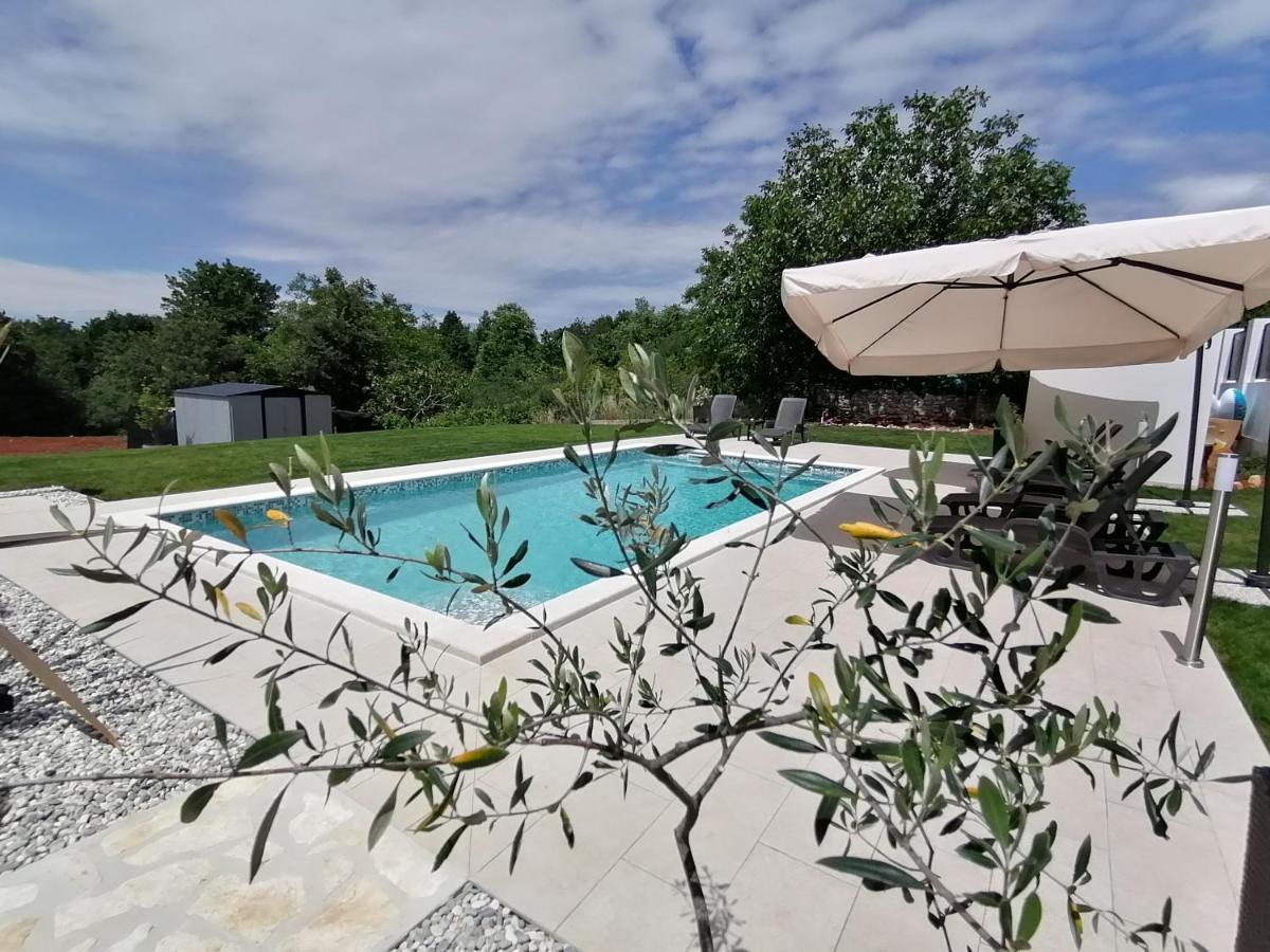 Apartman Nikola Ladrovici Экстерьер фото